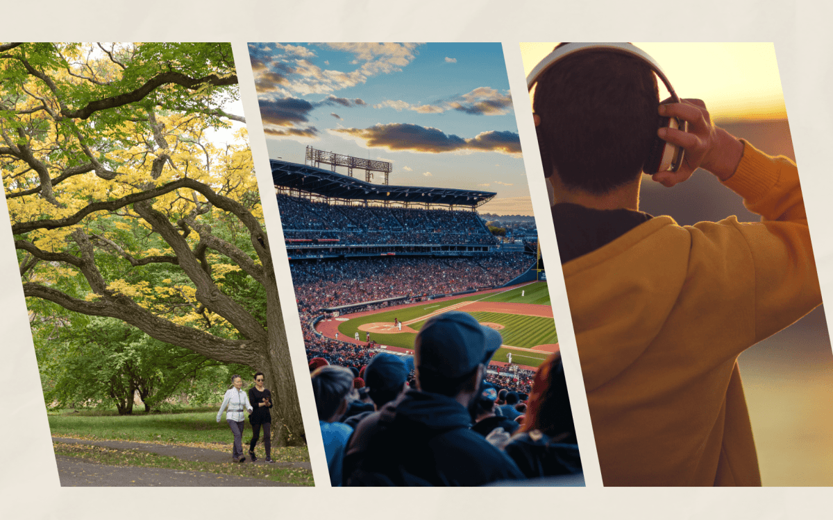 Illustration of Arboreturm, Fenway, person wearing headphones on walk.